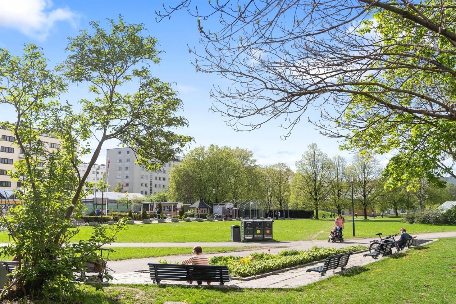 Modern In A Luxurious Area - Super Central - 6 Pax Oslo Eksteriør billede